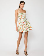 Load image into Gallery viewer, Anisa Mini Dress
