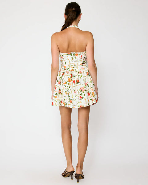 Anisa Mini Dress  Sapphire Boutique