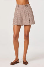 Load image into Gallery viewer, Brown Checker Preston Shorts
