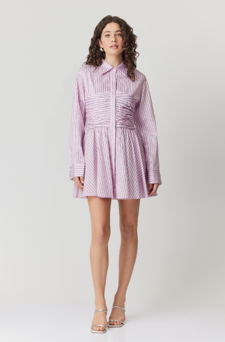 Zoie Mini Shirt Dress