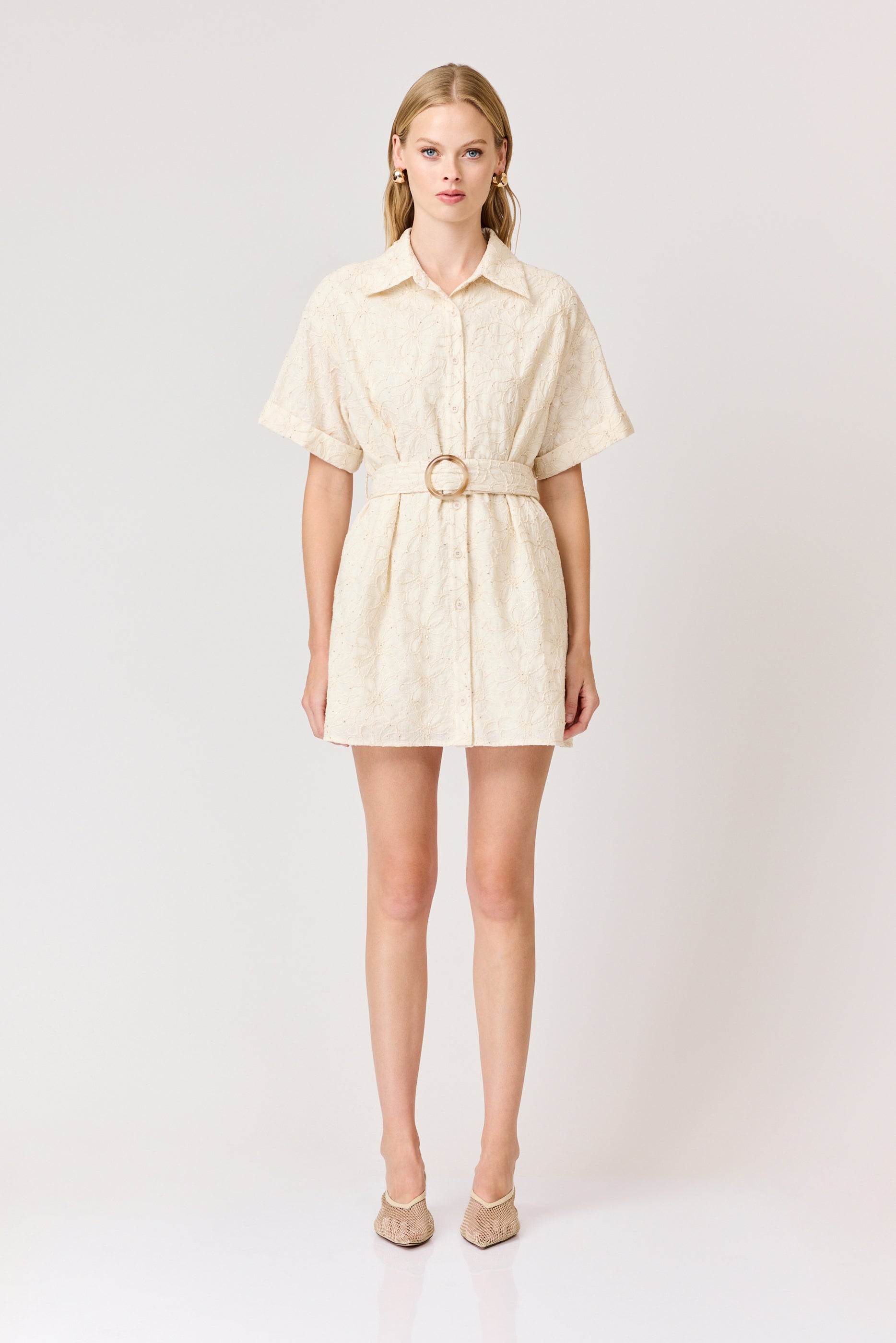 Giselle Embroidered Mini Dress