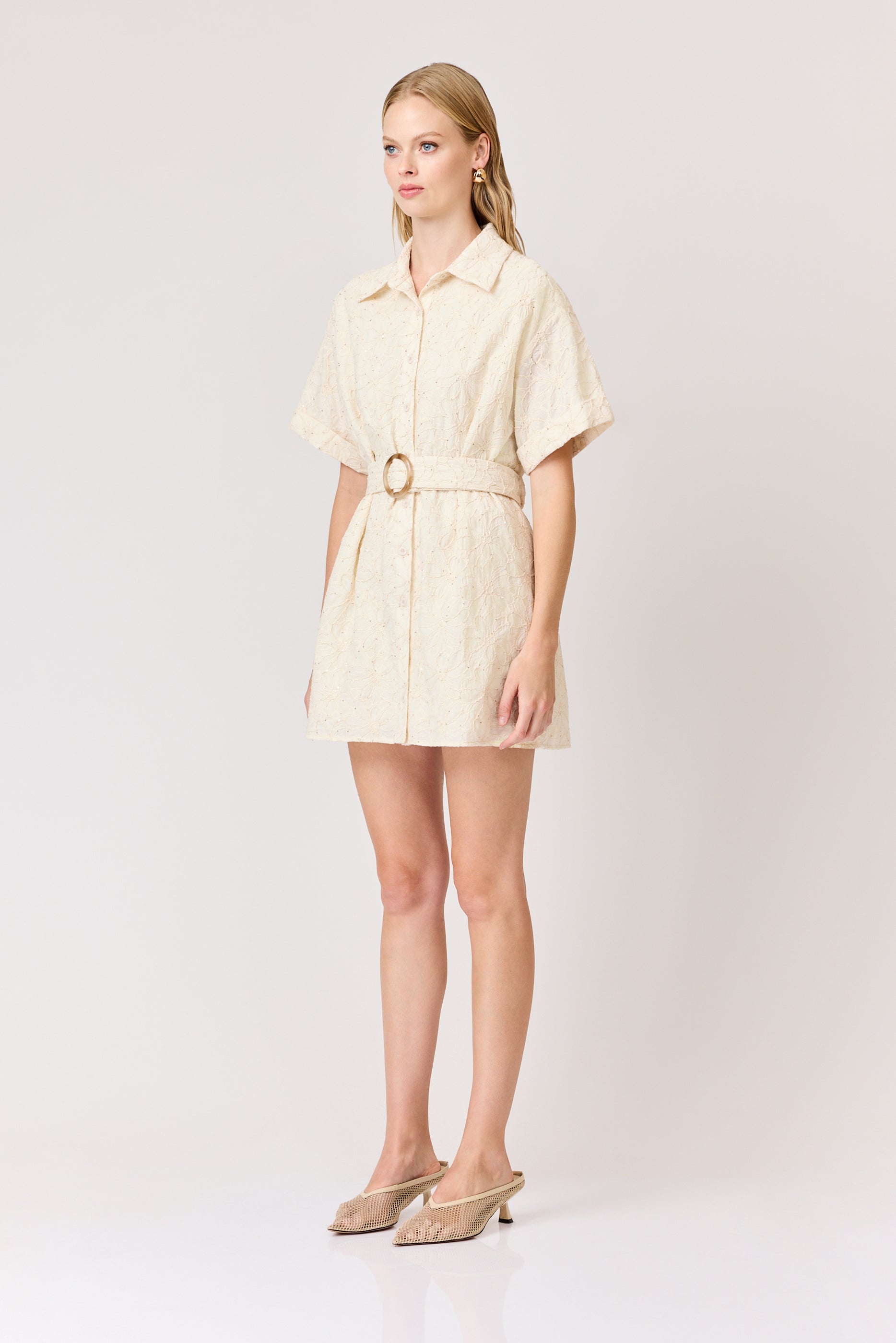 Giselle Embroidered Mini Dress
