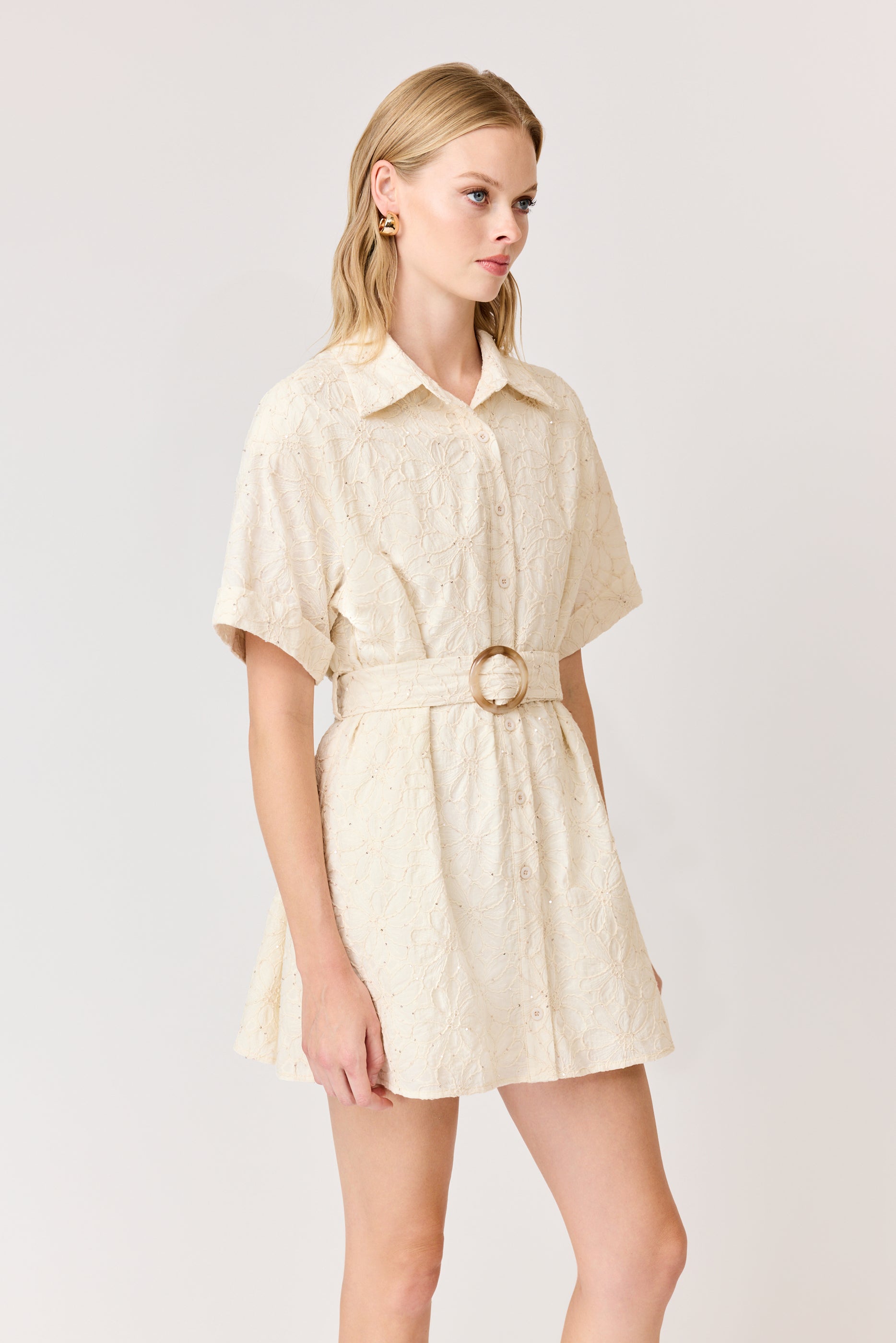 Giselle Embroidered Mini Dress