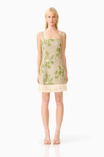 Load image into Gallery viewer, Carmelia Mini Dress
