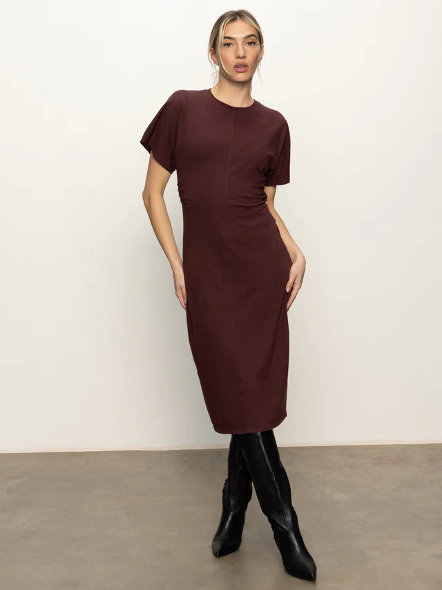 Chicory T-shirt Dress