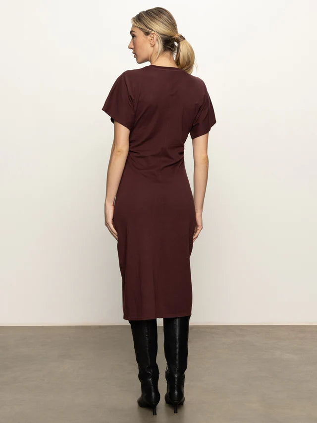 Chicory T-shirt Dress