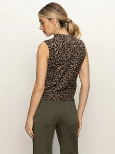 French Kitty Shell