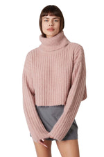 Load image into Gallery viewer, Petal Bruni Sweater
