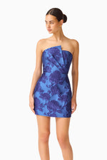 Load image into Gallery viewer, Sorelle Mini Dress
