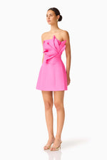 Load image into Gallery viewer, Laurentia Mini Dress

