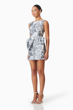 Load image into Gallery viewer, Silver Blossom Mini Dress
