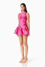 Load image into Gallery viewer, Lorena Mini Dress
