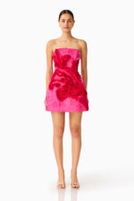 Load image into Gallery viewer, Florentia Mini Dress
