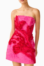 Load image into Gallery viewer, Florentia Mini Dress
