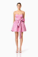 Load image into Gallery viewer, Nadeen Mini Dress
