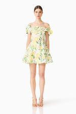 Load image into Gallery viewer, Hana Off The Shoulder Mini Dress
