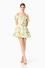 Load image into Gallery viewer, Hana Off The Shoulder Mini Dress
