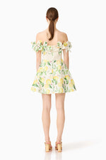 Load image into Gallery viewer, Hana Off The Shoulder Mini Dress
