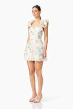 Load image into Gallery viewer, Kierra Mini Dress
