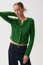 Load image into Gallery viewer, Yara Alpaca Blend Cardigan
