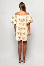 Load image into Gallery viewer, Billow Sleeve Mini Dress
