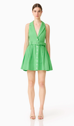 Load image into Gallery viewer, Emelie Collared Mini Dress
