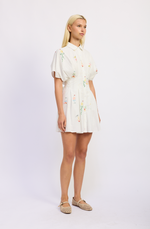 Load image into Gallery viewer, Leanne Mini Shirt Dress
