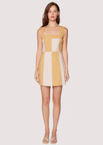 Load image into Gallery viewer, La Creme Mini Dress
