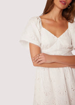 Load image into Gallery viewer, Allure Afternoon Mini Dress
