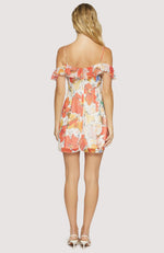 Load image into Gallery viewer, Gaia Mini Dress
