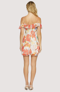 Gaia Mini Dress