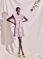 Load image into Gallery viewer, Amalia Ikat Stripe Mini Dress
