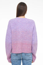 Load image into Gallery viewer, Zane Crew Neck Sweater
