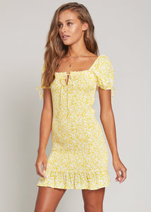 Sweet Summer Daze Mini Dress