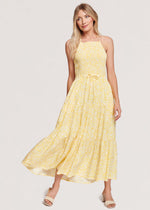 Load image into Gallery viewer, Summer Daze Maxi Dress
